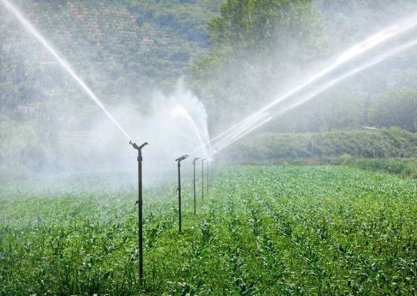 水分儀在行業的應用