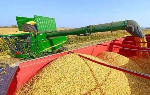 糧油強(qiáng)制國家標(biāo)準(zhǔn)適應(yīng)我國糧食生產(chǎn)、流通和消費(fèi)的發(fā)展需要