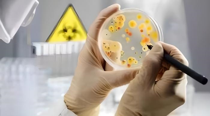 微生物測試片具有許多優勢