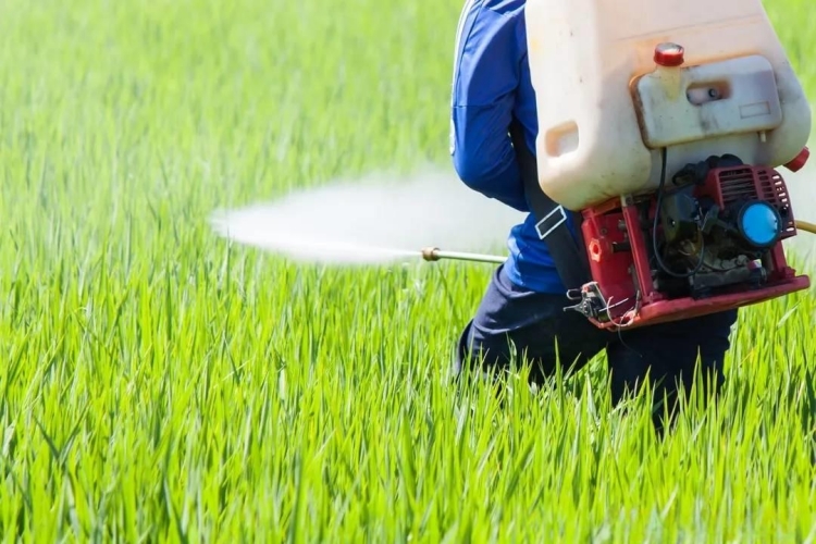 農產品生產經營過程中禁限用農藥名錄