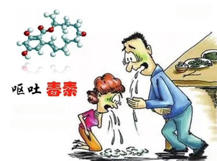 嘔吐毒素